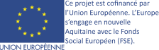 Europe FSE