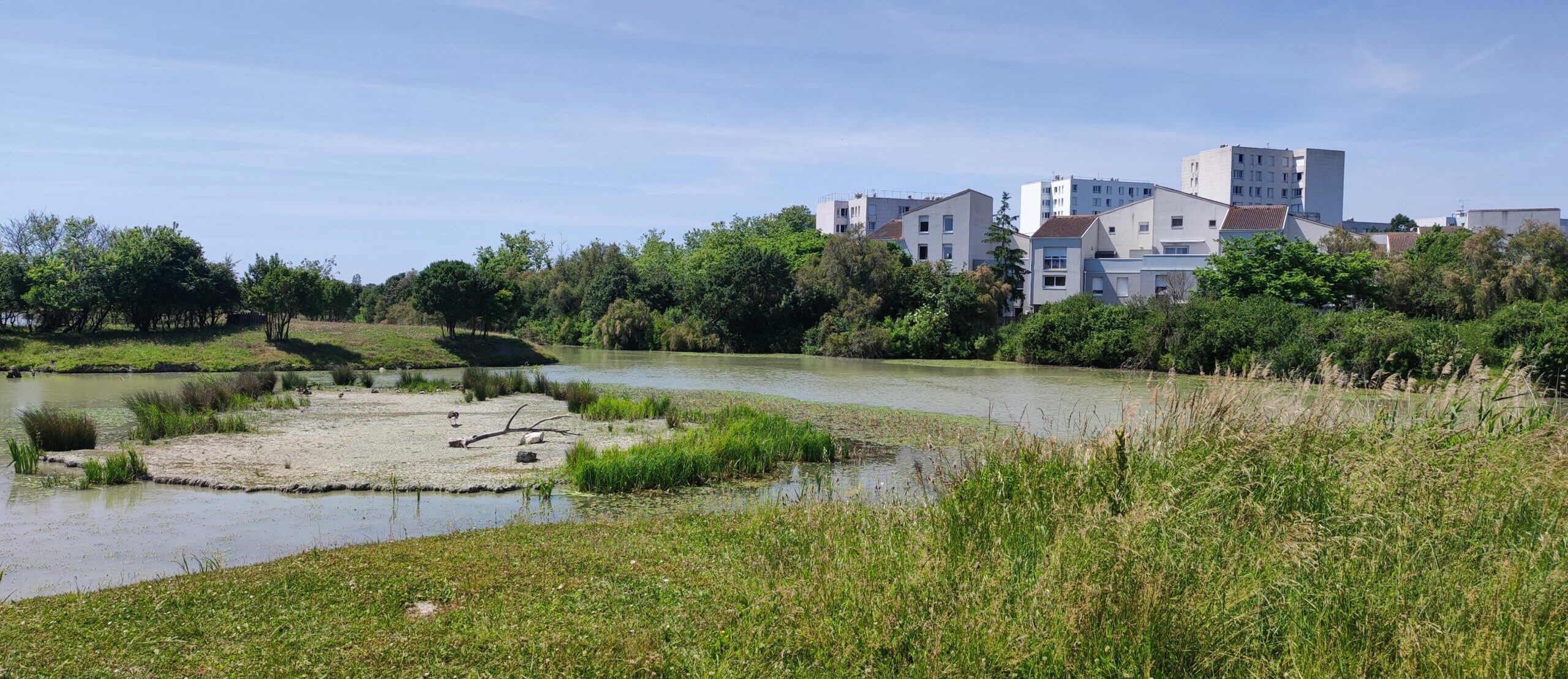 Villeneuve‑les‑Salines